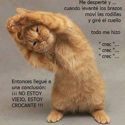 Timeline: la evolucion de la salud ocupacional en colombia