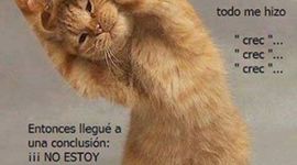 Timeline: la evolucion de la salud ocupacional en colombia