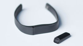 Timeline: FitBit History
