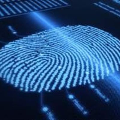 Timeline: Criminologos