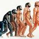 Evolucion