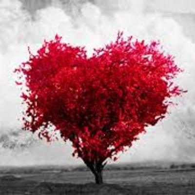 Timeline: "CORAZÓN LLEVA TILDE EN LA O".