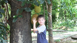 Timeline: Christopher's Story of Money