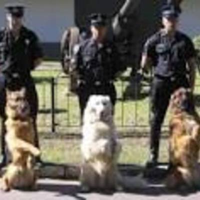 Timeline: Valentina Diaz