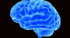 Timeline: Psychologie