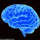 1411575942262 wps 55 bright blue brain 3d illu