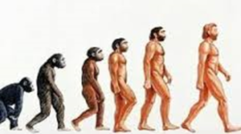 Timeline: Evolución del ser humano