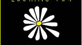 Timeline: Looking For Alaska