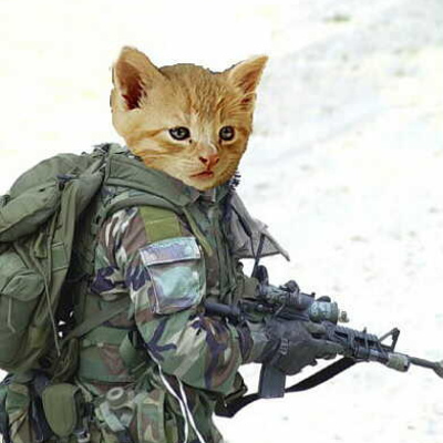 Timeline: World War 1