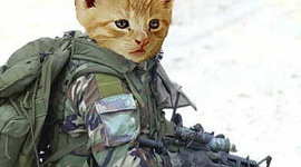 Timeline: World War 1