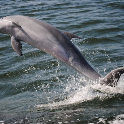 Timeline: Civil Rights Timeline