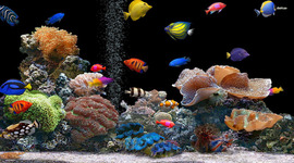 Timeline: Civil Rights Timeline