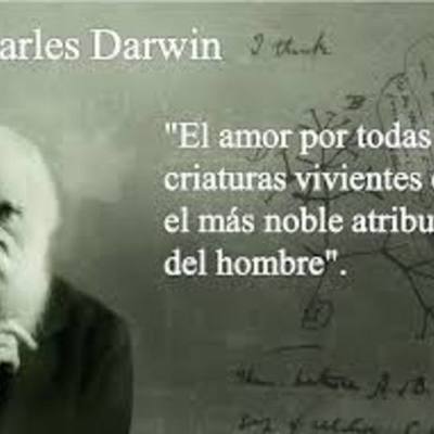 Timeline: LA EVOLUCIÓN DEL HOMBRE