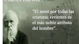 Timeline: LA EVOLUCIÓN DEL HOMBRE