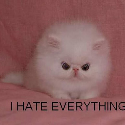 Timeline: Evolution's Role in History