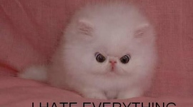 Timeline: Evolution's Role in History