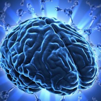 Timeline: Historia de las neurociencias