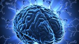 Timeline: Historia de las neurociencias