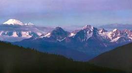 Timeline: Life Timeline