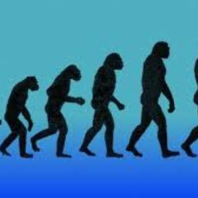 Timeline: Historia y generaciones de los computadores en el programa