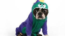 Timeline: Madii O'Neill History Timeline