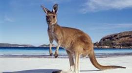 Timeline: History of Australia