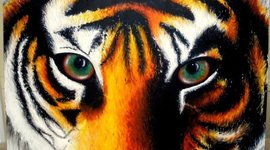 Timeline: MacArthur - Year 2020