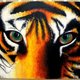 Tiger face by faithderris d50c93o