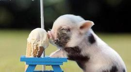 Timeline: Russian Revolution