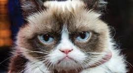 Timeline: WOOOohOOOOHOooOHOooooo