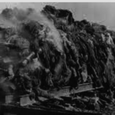 Timeline: Diaz World War 2 Timeline