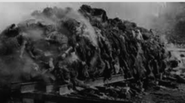 Timeline: Diaz World War 2 Timeline