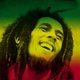 Bobmarleybio