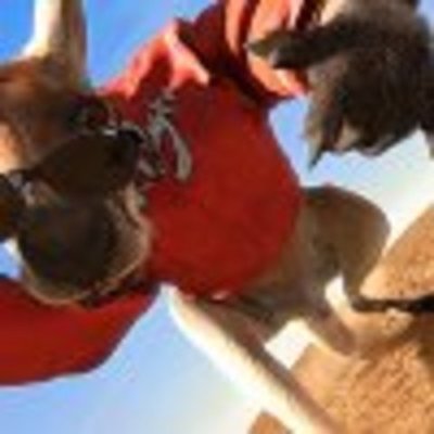 Timeline: Kangaroo Jack