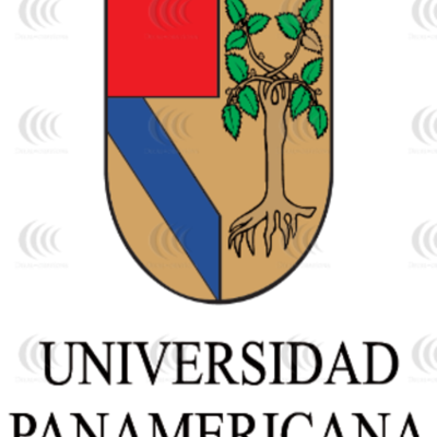 Timeline: DESARROLLO HISTÓRICO DE LA NEUROPSICOLOGÍA