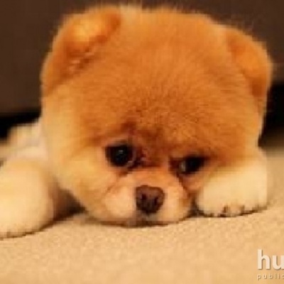 Timeline: ejercicio 1