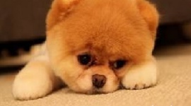 Timeline: ejercicio 1