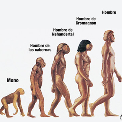Timeline: Evolución Humana