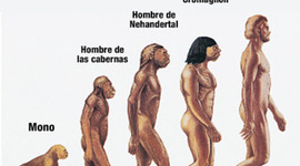 Timeline: Evolución Humana