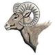 Ram