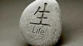 Timeline: Hunter's Life