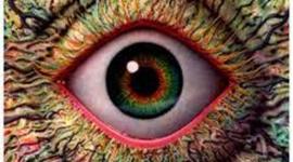 Timeline: Historia de Felipe Rodriguez