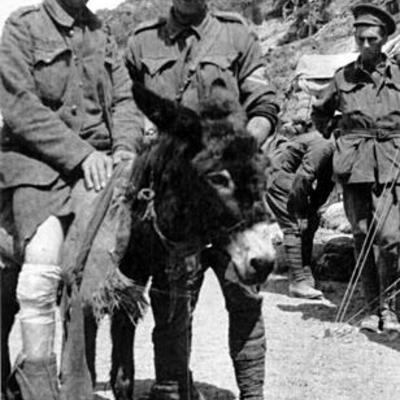 Timeline: John Simpson Kirtpatrick: Biography