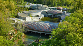 Timeline: Art  in History