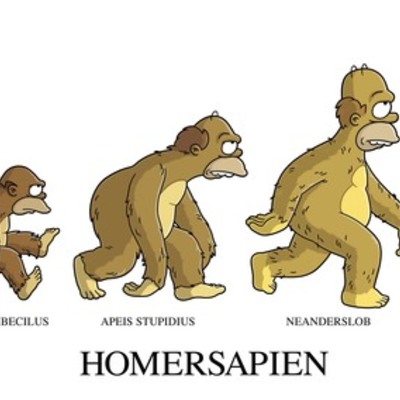 Timeline: TEORÍAS DE LA EVOLUCIÓN.