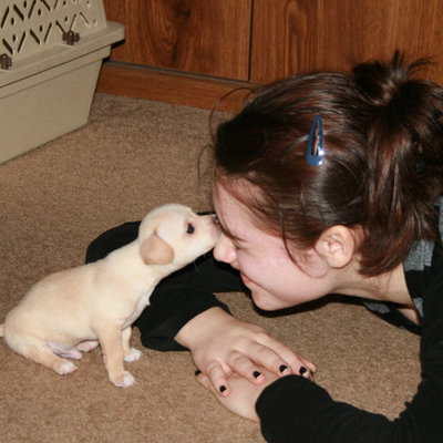 Timeline: Life of Sarah Tatonetti