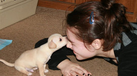 Timeline: Life of Sarah Tatonetti