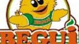 Timeline: União Ibérica e Invasões Holandesas na Am. Portuguesa. (trabalho de historia)