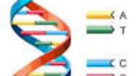 Timeline: Línea de Tiempo ADN