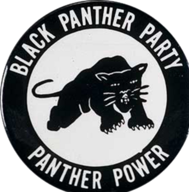 Timeline: Black Panthers